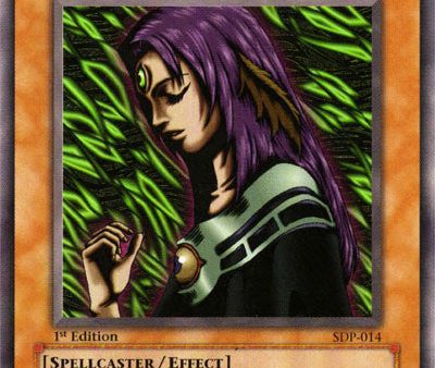 Witch of the Black Forest [SDP-014] Common For Cheap