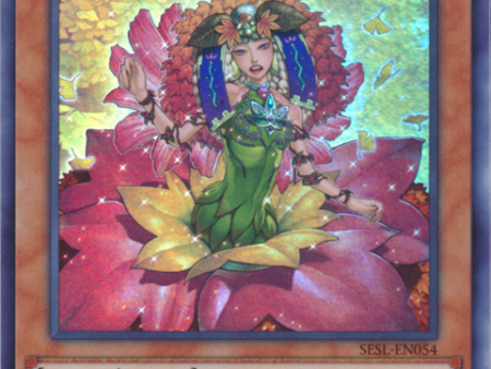 Chirubime, Princess of Autumn Leaves [SESL-EN054] Super Rare on Sale