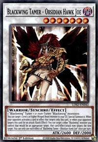 Blackwing Tamer - Obsidian Hawk Joe [LDS2-EN042] Common Supply