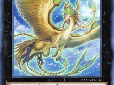 Dragonlark Pairen [DAMA-EN046] Common Fashion